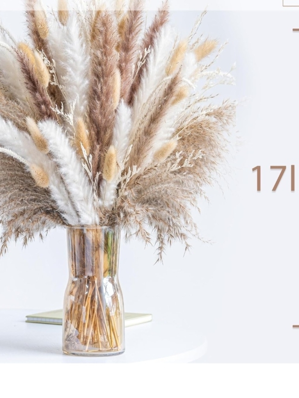 Neutral Dried Pampas Grass